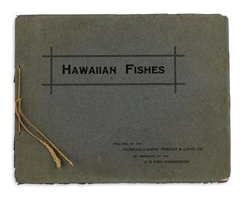 (HONOLULU AQUARIUM.) Hawaiian Fishes.